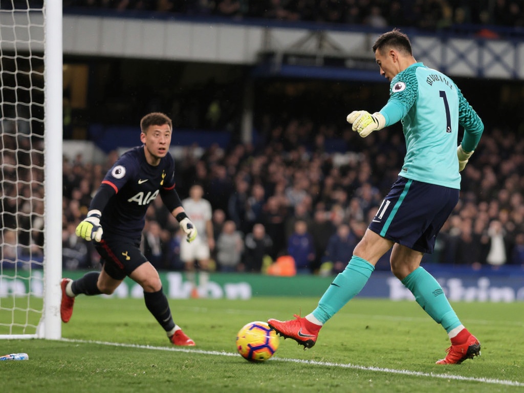 球迷们的脑 球迷们的脑